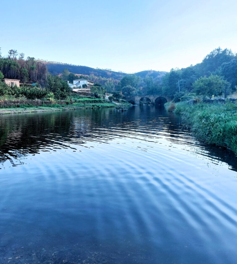 1Piscina natural